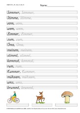 DSS_2S_Bu_m_Nr_03.pdf